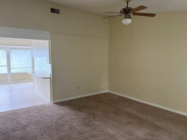 Gallery Photo 2